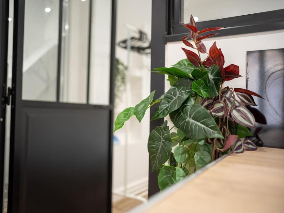 Appartement Tout Equipe Au Coeur Du Panier Vieux Port Marseille Eksteriør bilde
